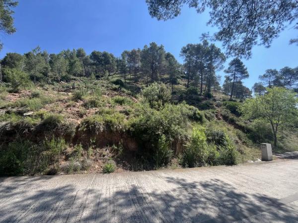 Terreno en avenida de las Torres de Fals, 3