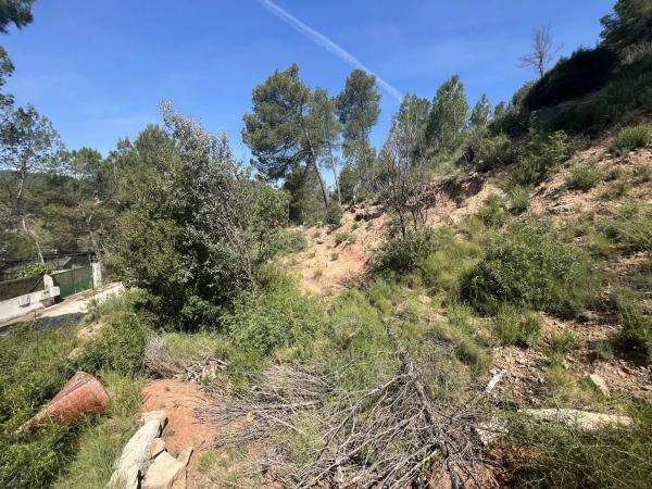 Terreno en avenida de las Torres de Fals, 3