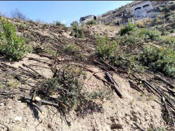 Terreno en calle de la Constitució, 4 a