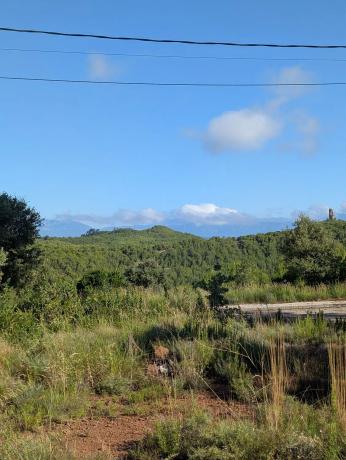 Terreno en calle de la Torre, 56