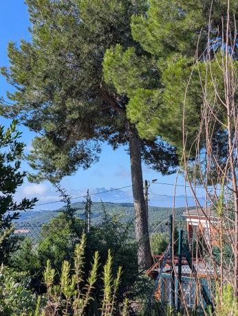 Terreno en calle de la Torre, 56