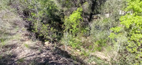 Terreno en calle de Mas Penedes