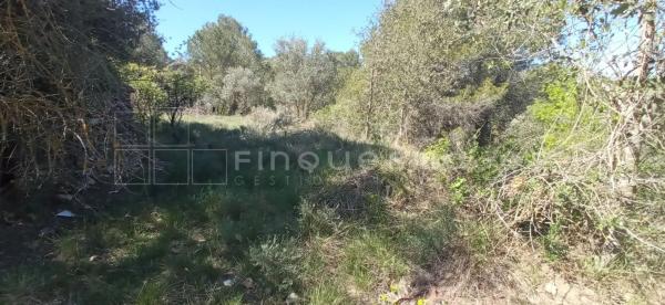 Terreno en calle de Mas Penedes