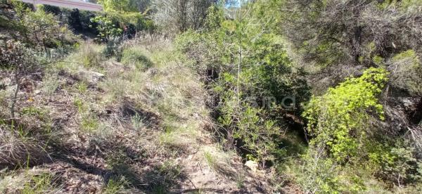 Terreno en calle de Mas Penedes
