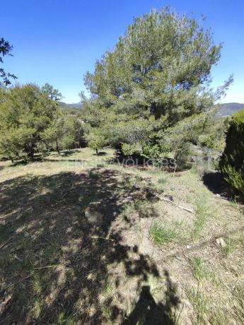 Terreno en Castellbell i el Vilar