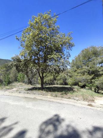 Terreno en Castellbell i el Vilar