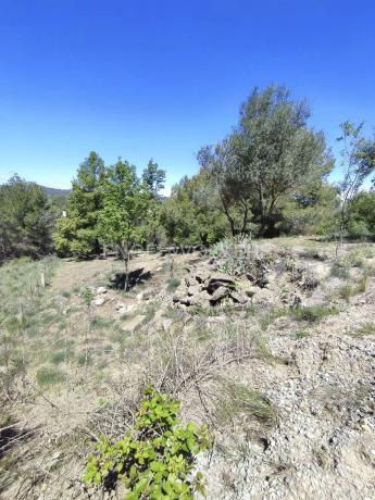 Terreno en Castellbell i el Vilar