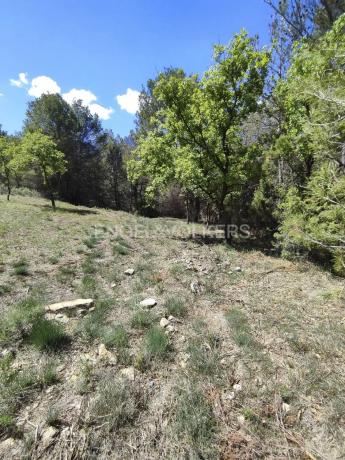 Terreno en Castellbell i el Vilar