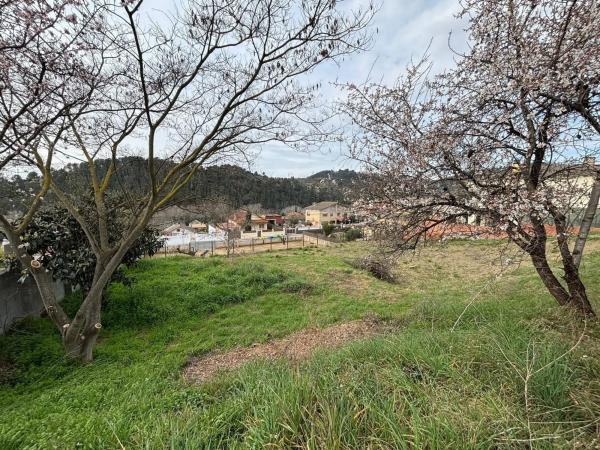 Terreno en calle 4, 431