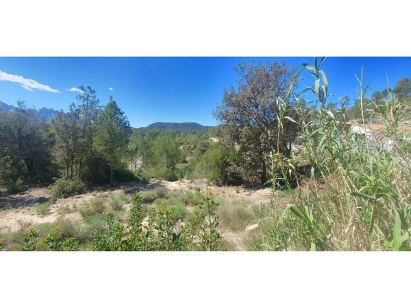 Terreno en Urbanitzacio Mas Planoy 4, 2040