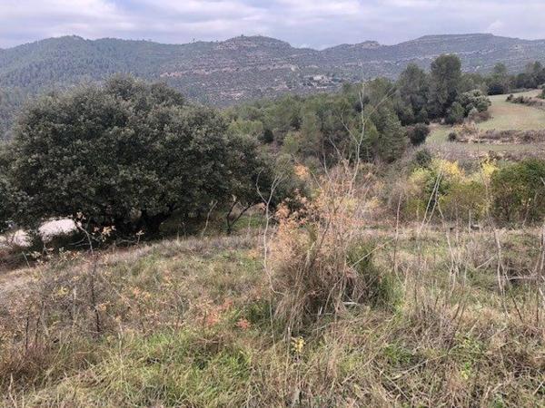 Terreno en El Pont de Vilomara i Rocafort
