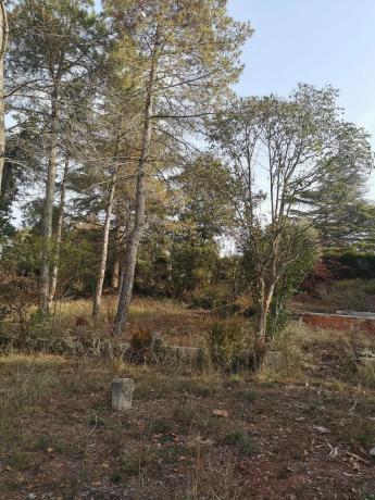 Terreno en avenida Pirineus