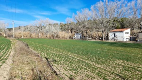 Terreno en calle de Les Planes
