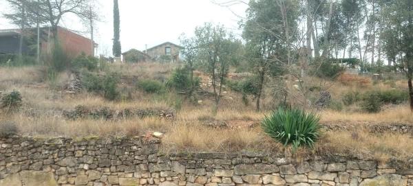 Terreno en calle Avets