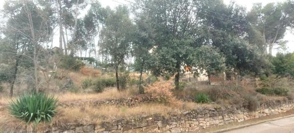 Terreno en calle Avets