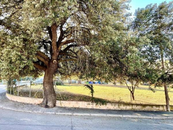 Terreno en calle Verge de Juncadella