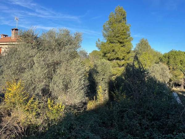 Terreno en calle levante, 8