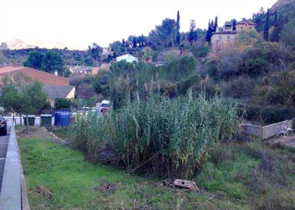 Terreno en "la Graella" Collcabiró, 20