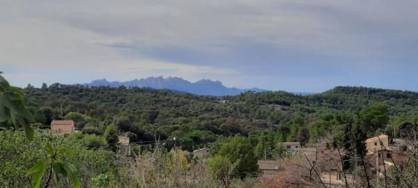 Terreno en avenida la Quintana