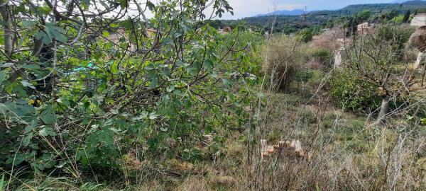 Terreno en avenida la Quintana