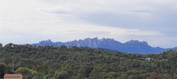 Terreno en avenida la Quintana