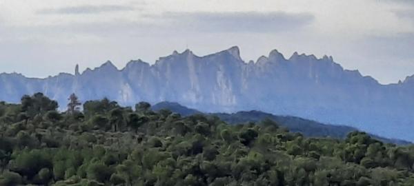 Terreno en avenida la Quintana