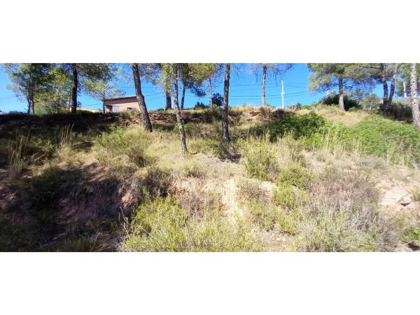 Terreno en calle de la Carena