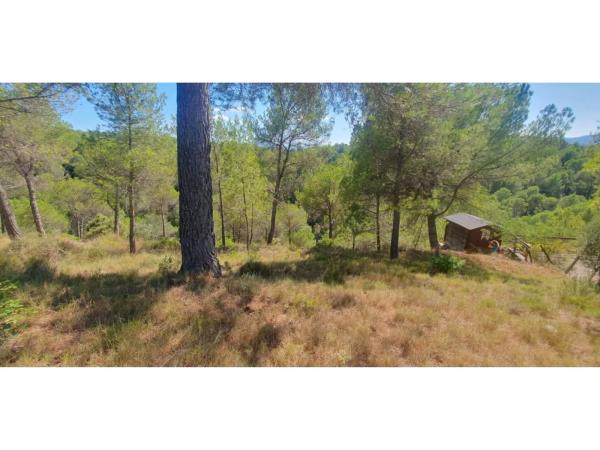 Terreno en calle de la Carena