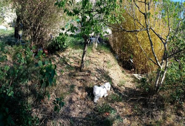 Terreno en avenida la Quintana, 45