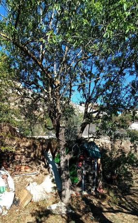 Terreno en avenida la Quintana, 45