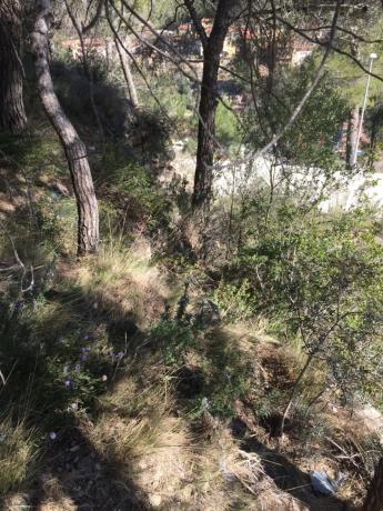 Terreno en Monistrol de Montserrat