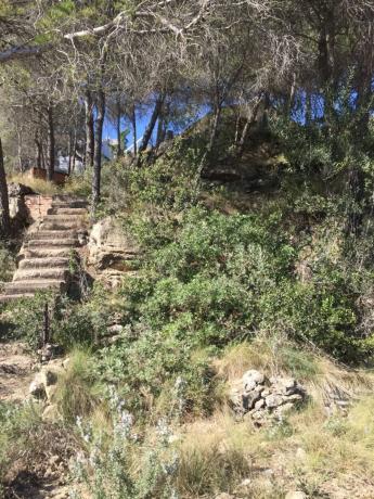 Terreno en Monistrol de Montserrat