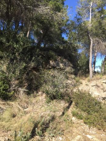 Terreno en Monistrol de Montserrat