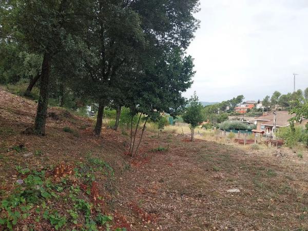 Terreno en calle de la Vall