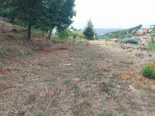 Terreno en calle de la Vall