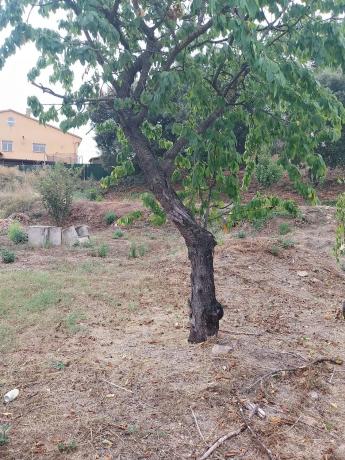 Terreno en calle de la Vall