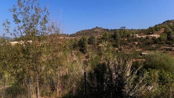 Terreno en calle de Lluís Companys, 5