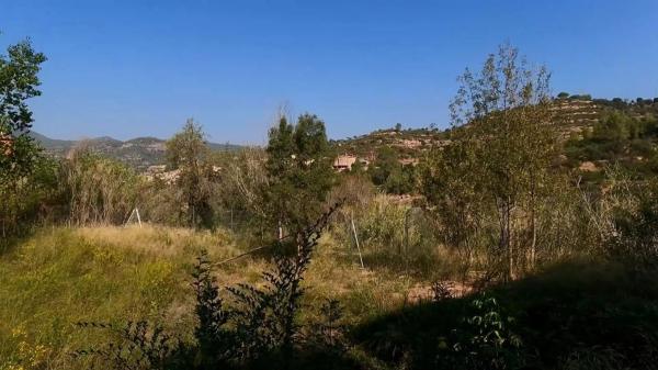 Terreno en calle de Lluís Companys, 5