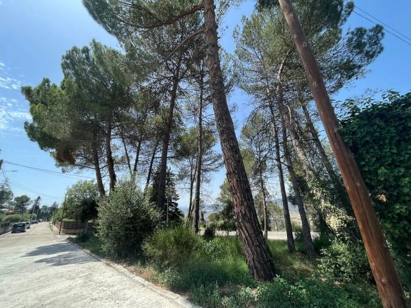 Terreno en calle Mestral, 75