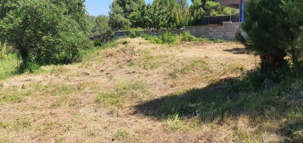 Terreno en calle de Llevant