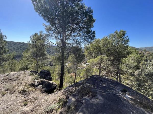 Terreno en calle Mirador de Canet, 34