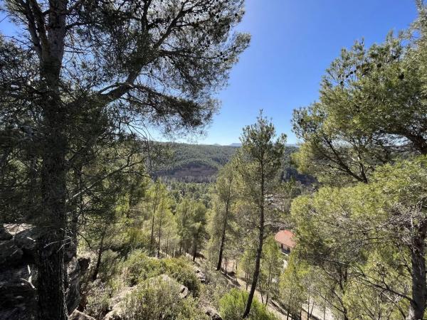 Terreno en calle Mirador de Canet, 34