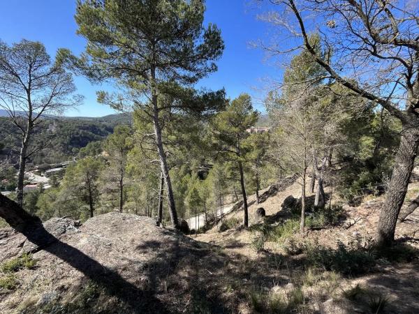 Terreno en calle Mirador de Canet, 34