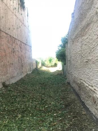 Terreno en avenida de Tudela