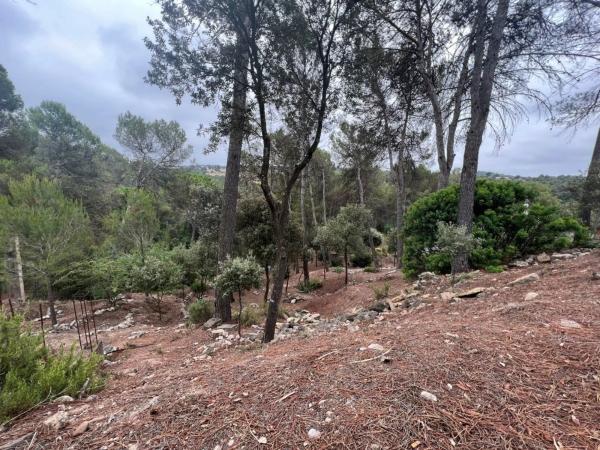 Terreno en calle de Pau Casals