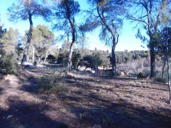 Terreno en camino del Putxot, 1