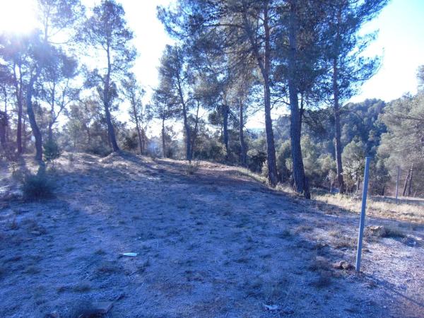 Terreno en camino del Putxot, 1