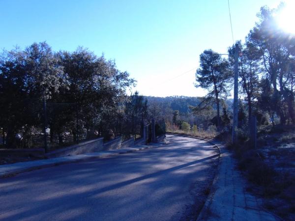 Terreno en camino del Putxot, 1