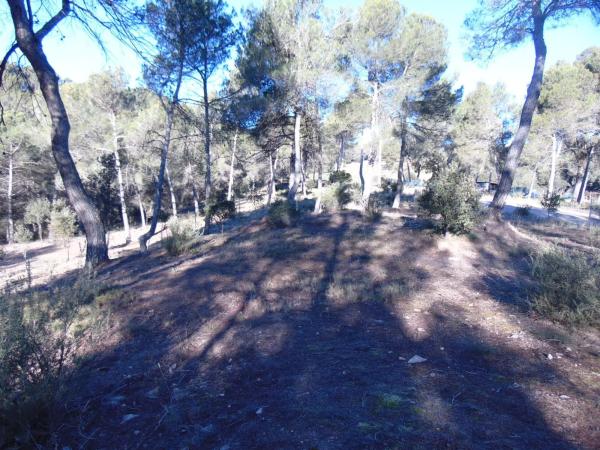 Terreno en camino del Putxot, 1