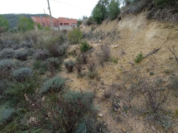 Terreno en Castellbell i el Vilar